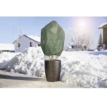 Plantă în ghiveci cu husă de protecție de iarnă în grădină înzăpezită