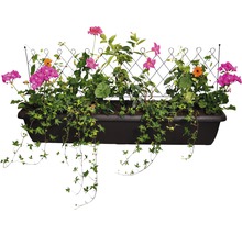 Jardinieră cu spalier și diverse plante