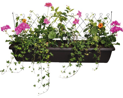 Jardinieră cu spalier și diverse plante