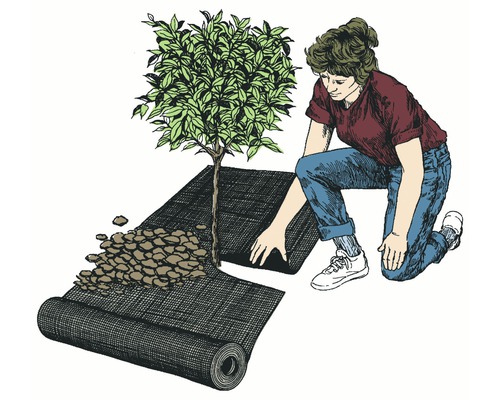 Ilustrație cu o persoană care așază o folie anti-buruieni în jurul unui copac, cu o rolă de folie și un grămadă de pietre