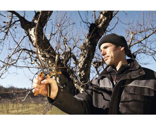 Bărbat care taie crengi de copac cu o foarfecă de grădină