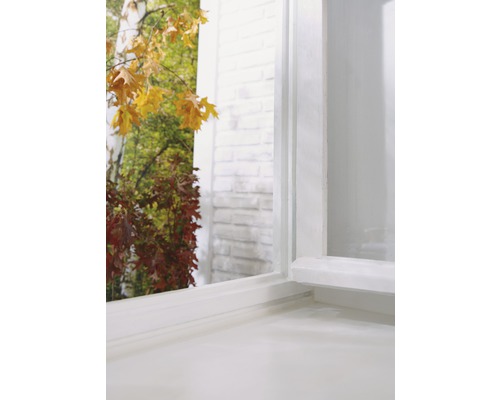 Vizualizare detaliată a unei ferestre albe cu vedere la o grădină de toamnă