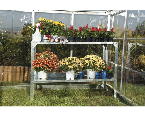 Seră cu raft și plante