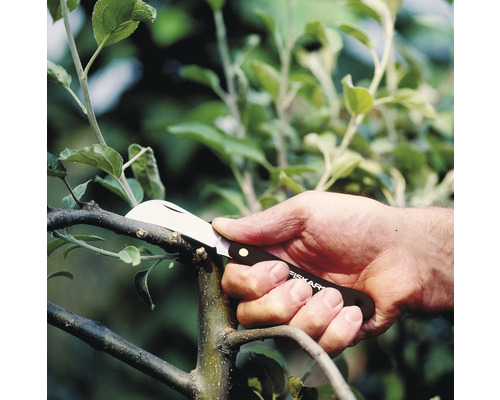 O mână folosește un cuțit de altoit Fiskars pentru a tăia o creangă.