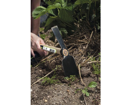 Săpăligă de grădină cu mâner de lemn folosită pentru grădinărit.