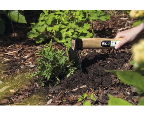 Sapa de grădină cu mâner de lemn folosită pentru plantare în pământ