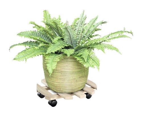 Plantă în ghiveci în coș pe role pentru plante