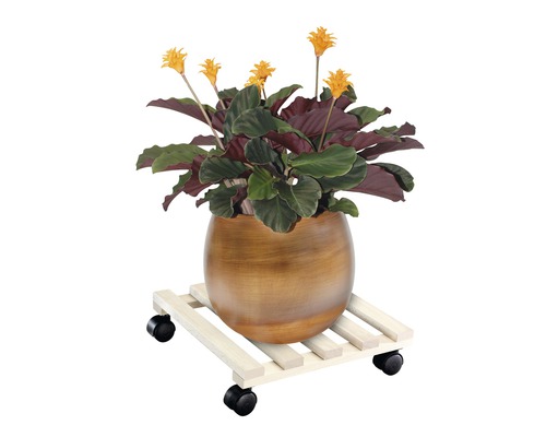 Plantă de interior înflorită într-un ghiveci pe un suport cu rotile pentru plante
