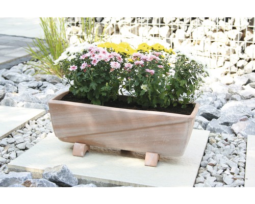 Jardinieră din teracotă cu flori de sezon pe plăci de piatră în grădină.