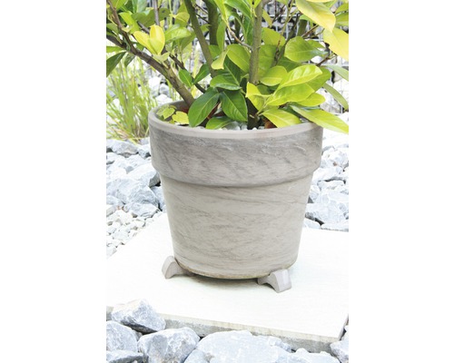 Ghiveci cu plantă pe piciorușe în exterior