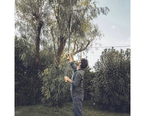 O persoană folosește o foarfecă telescopică de grădină pentru a tăia crengile unui copac.