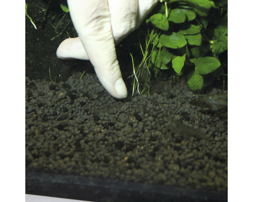 Plantarea unei plante acvatice în pietriș de acvariu