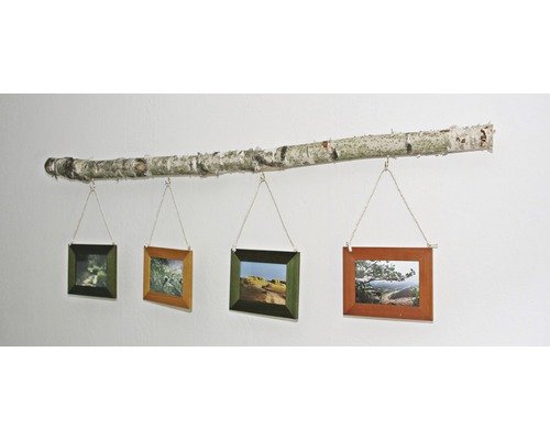 Galerie foto decorativă cu trunchi de mesteacăn și patru rame foto