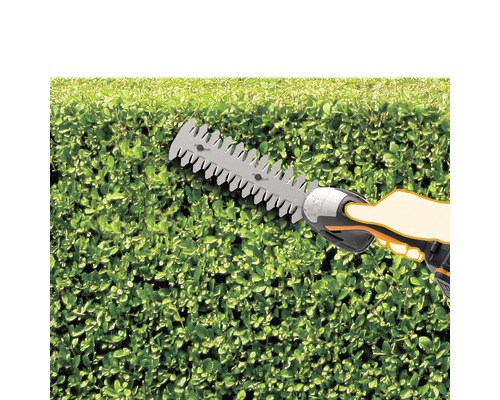 Foarfecă de gard viu în acțiune la tăierea unui gard viu