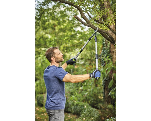 for_q Foarfecă telescopică pentru crengi Amboss | HORNBACH