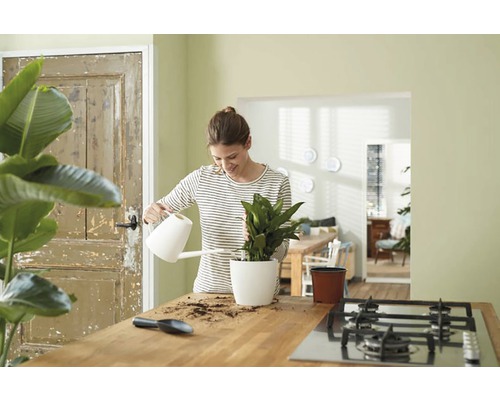 Femeie udând o plantă de interior cu stropitoarea în bucătărie