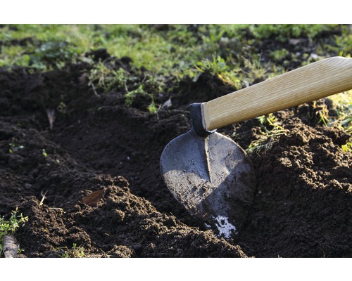 Sapă cu mâner din lemn în grădină