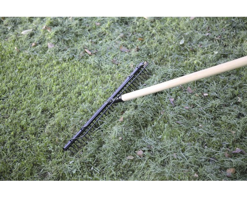 Greblă metalică cu coadă de lemn pe gazon