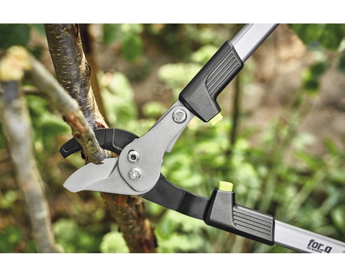for_q Foarfecă ramuri Bypass, 71,5 cm | HORNBACH
