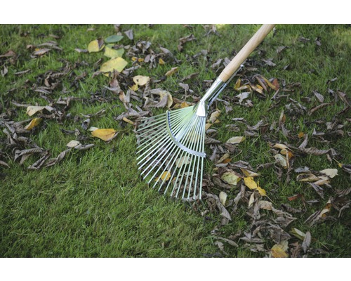 Greblă de frunze metalică cu coadă de lemn pe gazon cu frunze