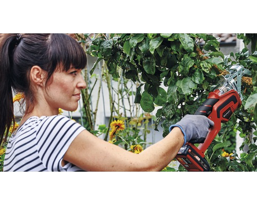 Femeie taie ramuri cu un fierăstrău de grădină cu acumulator Einhell