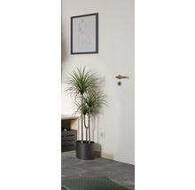 Plante verzi mix FloraSelf H 120-140 cm ghiveci Ø 24 cm-thumb-15 Plante verzi mix FloraSelf H 120-140 cm ghiveci Ø 24 cm-thumb-15