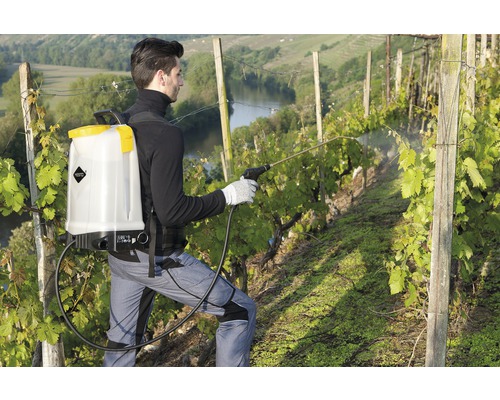 O persoană folosește un pulverizator de spate pentru combaterea dăunătorilor în vie.