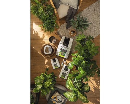 Plante de interior și substraturi de plante Lechuza Pon pe o podea de lemn