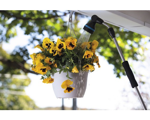 Flori galbene într-un ghiveci suspendat sunt udate cu un furtun de apă.