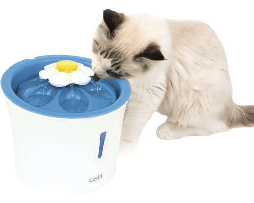 Pisică bea dintr-o fântână de băut cu atașament de floare