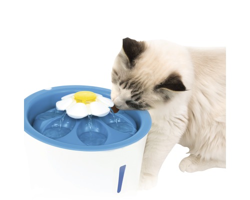 Pisică bea dintr-o fântână de apă albastră și albă