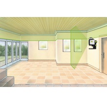 Nivelă cu laser Laserliner 360° fascicul verde