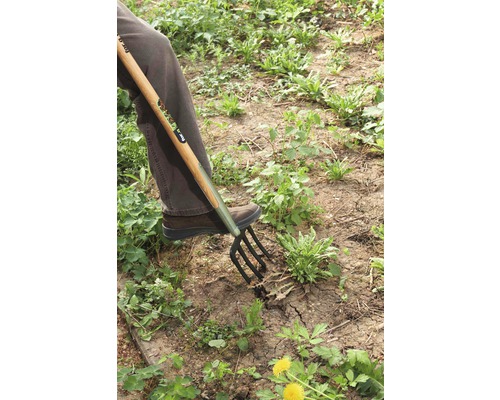 Persoană care folosește o furcă de săpat pentru grădinărit.