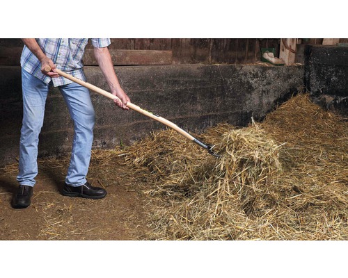 Un bărbat mută fân cu o furcă de fân într-un grajd.