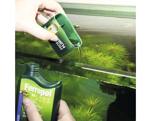 Îngrijirea acvariului: Adăugarea de îngrășământ lichid cu pahar de măsurare într-un acvariu cu plante acvatice.