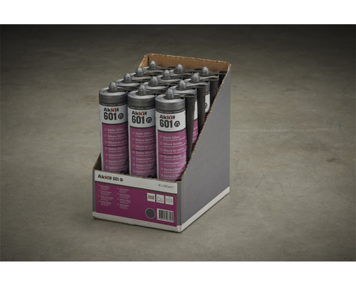 Pachet de silicon sanitar Akkit 601