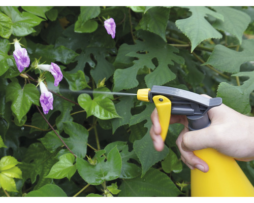 O persoană pulverizează plante cu un pulverizator