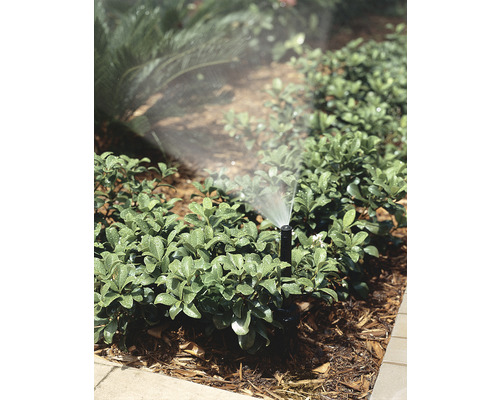 Aspersor de gazon udând plantele de grădină