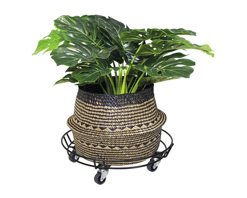 Plantă Monstera în coș cu suport cu rotile pentru plante