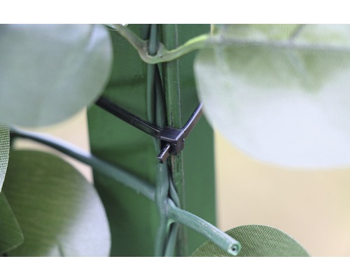 Prim-plan cu prinderea unei bride de cablu pe un perete vegetal verde