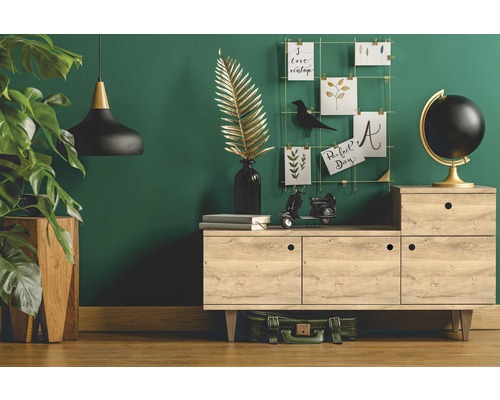 Cameră de zi cu comodă, plantă de interior, lampă și decorațiuni