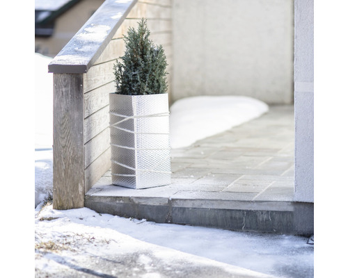 Jardinieră decorativă cu plantă în fața unei case