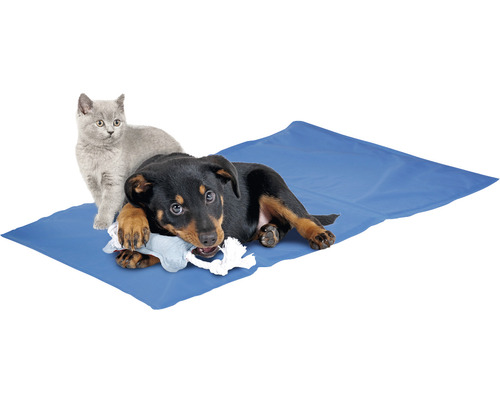 Câine și pisică pe covoraș răcoritor pentru animale de companie cu jucărie