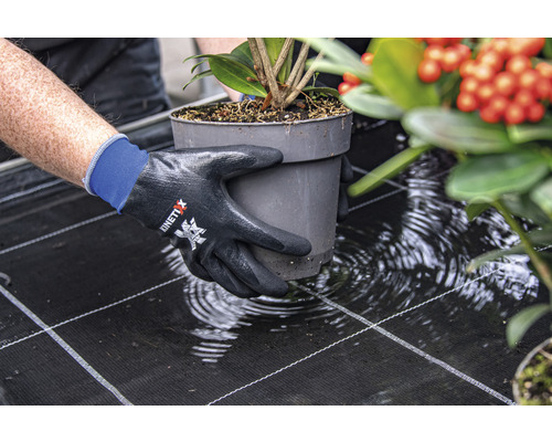 Persoană care poartă o plantă într-un ghiveci cu mănuși de grădinărit KinetiXx