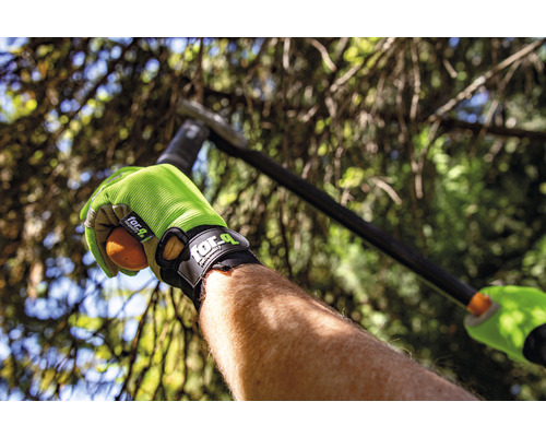 Persoană cu mănuși de grădinărit ținând un fruct în grădină