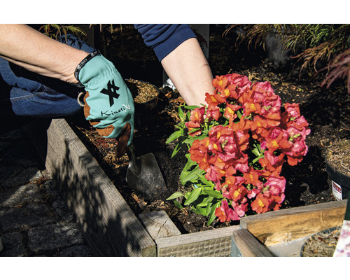 Persoană care plantează o floare cu mănuși și lopată într-un strat de grădină înălțat.