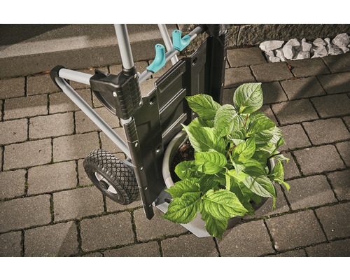 Cărucior transport Wolfcraft cu plantă în ghiveci