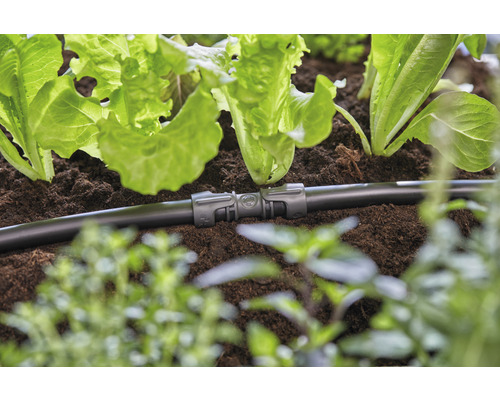 Sistem de irigare cu element de conectare în grădina de flori