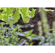 Irigare prin picurare în grădină printre salate
