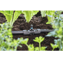 Sistem de irigare cu picurător în stratul de grădină printre plante